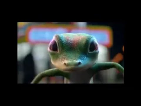 The GEICO Gecko Commercial Compilation