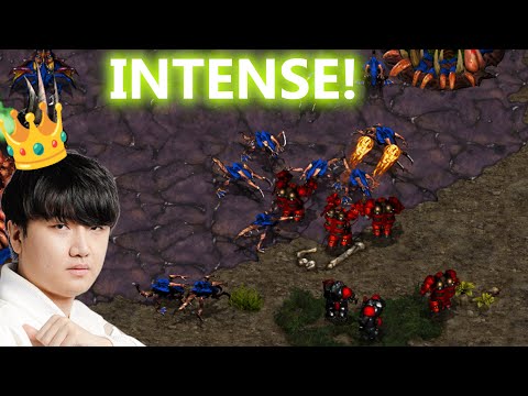 Soma vs Rush - Ladder- Starcraft Broodwar