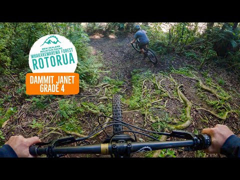 It's back! Flow and some Native spice - Dammit Janet, Rotorua