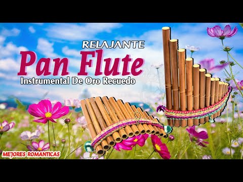 MINHA RÁDIO: ROMANTIC INSTRUMENTAL - PAN FLUTE