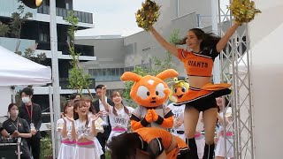 VENUS（ヴィーナス）とHoneys（ハニーズ）