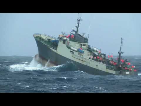 Behind The Music: MORIS BLAK | #TheOutlawOceanMusicProject | Ian Urbina