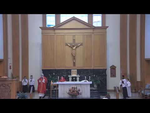 St. Petronille Live Stream - School Mass, October 28