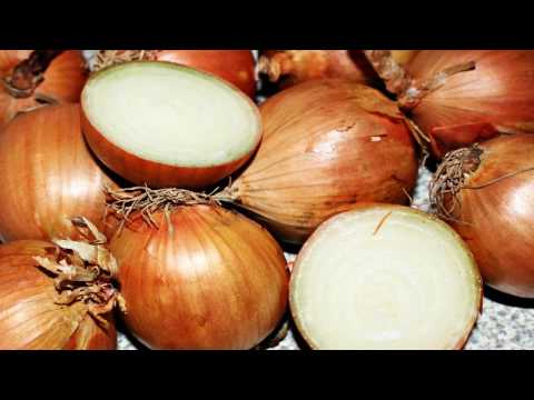 Wzrost na palcu Rekin cena ropy gula przystanek