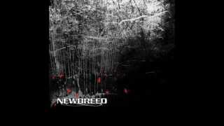 02- The Forever Spring- NeeWBReeD
