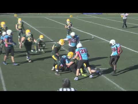 2019 BAFL EL - WEEK 3: BRUSSELS TIGERS VS LIMBURG SHOTGUNS