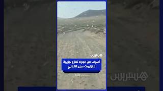أسراب من الجراد تغزو جزيرة لانزاروت بجزر الكناري thumbnail
