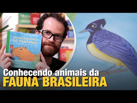 Animais da Fauna brasileira, conhecendo o Pantanal | Literatura Infantil