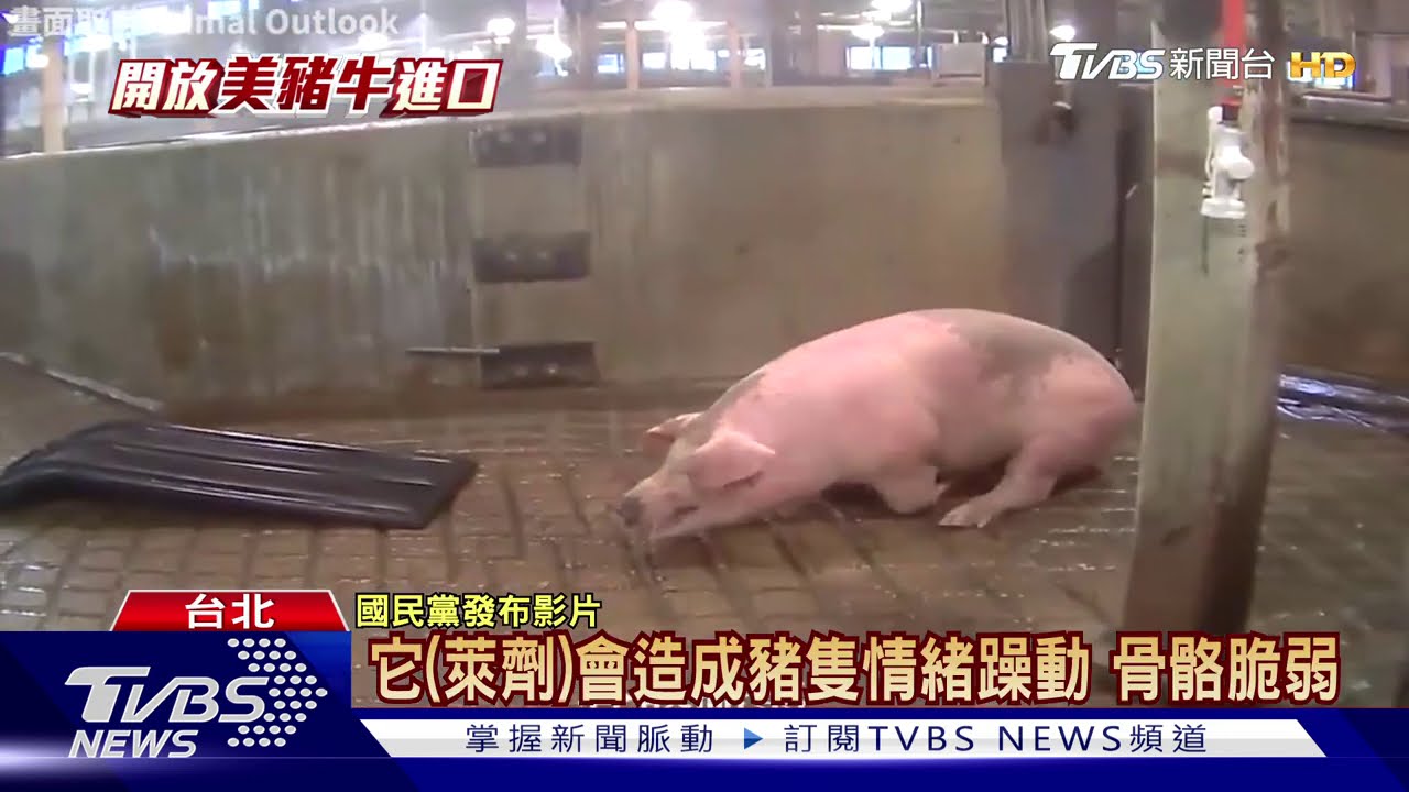 藍發「萊豬顫抖片」　防檢局：假消息可關3天