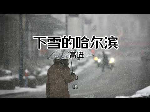 【中文字幕 Chinese Sub】原唱:【高进 - 下雪哈尔滨】在没冬天的南方 你如果 遇见下雪的哈尔滨 抱紧我 就当青春没走远
