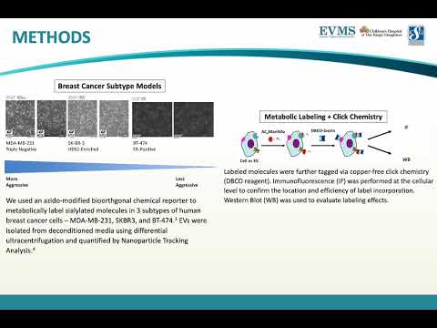 Thumbnail image of video presentation for Characterization of Glycosylated Cargos on Extracellular Vesicles for Human Breast Cancer Subtyping