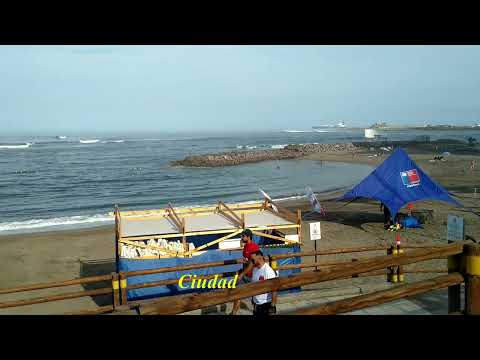 Playa El Laucho, ubicada en Arica (Región de Arica y Parinacota).