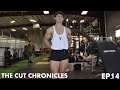 15 Weeks Out | Mini-Bulk? | The Cut Chronicles EP.14