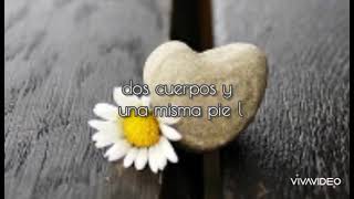 Así Es el Destino - Thalia (letra)