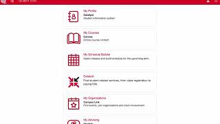 How to Use Canvas