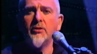 Peter Gabriel - More Than This