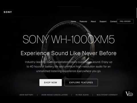 Sony Earphones