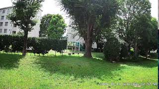 埼玉県坂戸市溝端町ライブカメラ Saitma Sakado Live camera.world.cam