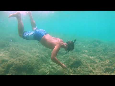 Villetta Mari Vidalići 79/b