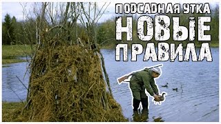 Охота с подсадной Новые правила охоты