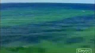 The Cat Empire - Down At The 303 (Fan made video)