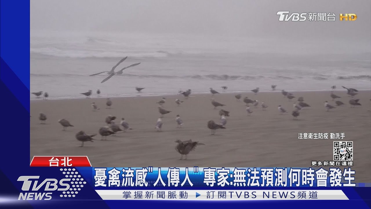 禽流感恐成下波大流行 醫示警:有53%致死率