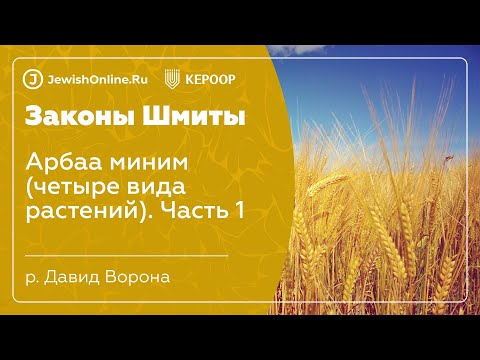 Законы шмиты. Урок 23. Арбаа миним (четыре вида растений)