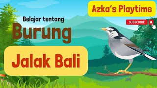 Download lagu Belajar mengenal nama hewan Burung Jalak Bali || Menyenangkan dan Belajar Bersama || Edukasi Anak mp3 Download lagu Belajar mengenal nama hewan Burung Jalak Bali || Menyenangkan dan Belajar Bersama || Edukasi Anak mp3