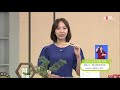Jjbio 프미리엄치약 2019 09