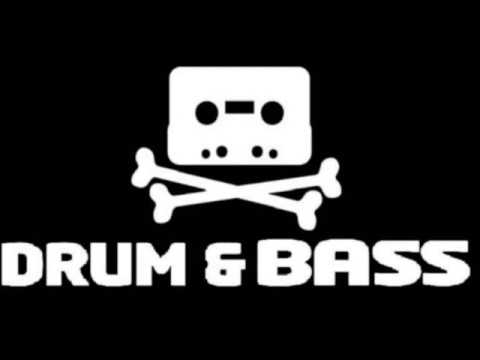 drum n bass - roni size & dj krust