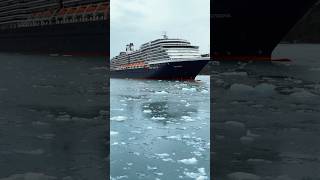 Step Aboard HAL Westerdam π’ | See More of This Elegant Mid-Sized Ship! #Shorts #Cruise
