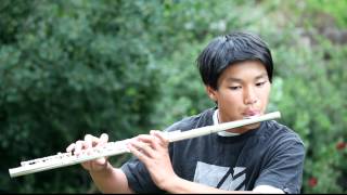 A Whole New World - Aladdin - Flute