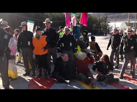 download lagu mp3 mp4 Cricket Valley, download mp3 Cricket Valley free download, download mp3 Cricket Valley