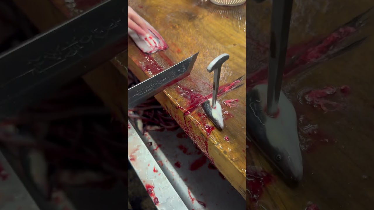 Japanese Eel Craftsmanship #eel #craftman #fish #food #cooking #japanesefood #料理 cuttingskills