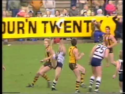 1985 VFL Marks Of The Year.