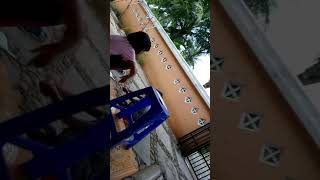 Download lagu Di sini salah di sana betul mp3