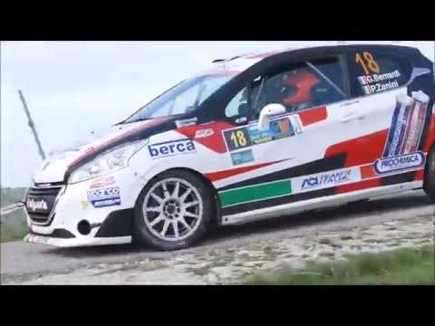 33°Rally due Valli 2015