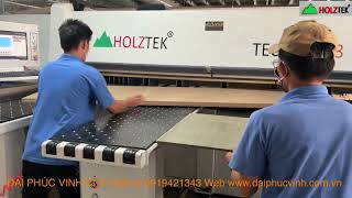 MÁY CẮT VÁN CÔNG NGHIỆP PANEL SAW CNC HOLZTEK TECTRA 328F OPTION Bàn Nâng Lùa Ván Tự Động