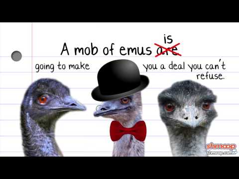 集合名詞 by Shmoop (Collective Nouns by Shmoop)