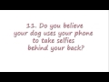 Sanity Test See If You Re Crazy