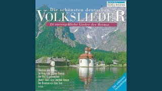 Lustig ist das Zigeunerleben