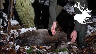 Jagd in der Schorfheide  | Zu Besuch bei @unsereJagd