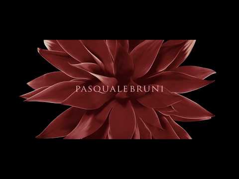 Pasquale Bruni _ In the Heart of Love. Backstage