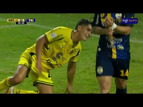 bg-highlight