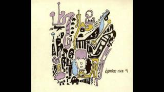 Damien Rice - The Animals Were Gone