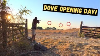 Texas Dove Opening 23