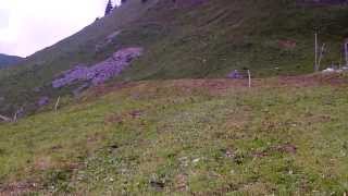 preview picture of video '20.07.2013 Engelberg, Brunnihütte, flache Wiese'