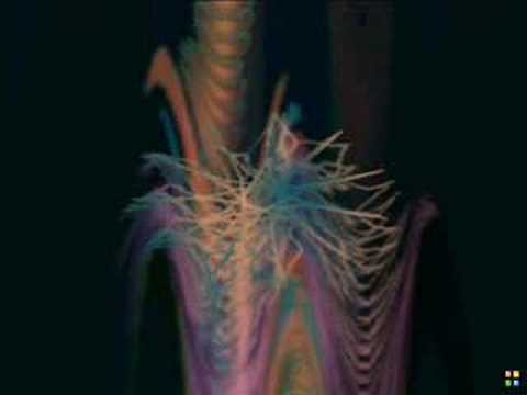 Video thumbnail for Entrance To Exit