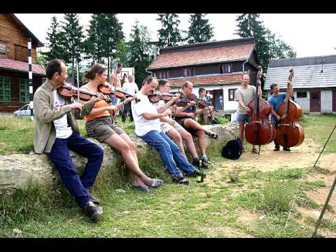 Gázsa Track 4 Otthoni emlék I. - Ördöngösfüzesi ritka-fogásolás