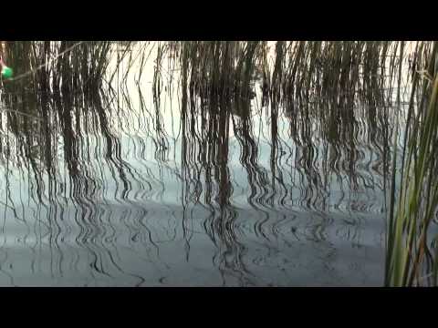 Pescuit sportiv  la balta Gliganu de Sus